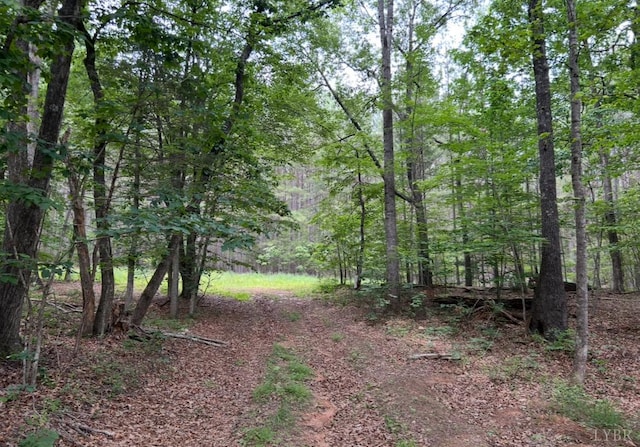 0 Rock Cliff Rd, Bedford, VA 24523 - photo 7