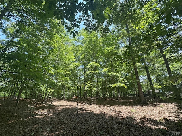 0 Silverbush, Bedford, VA 24523 - photo 1