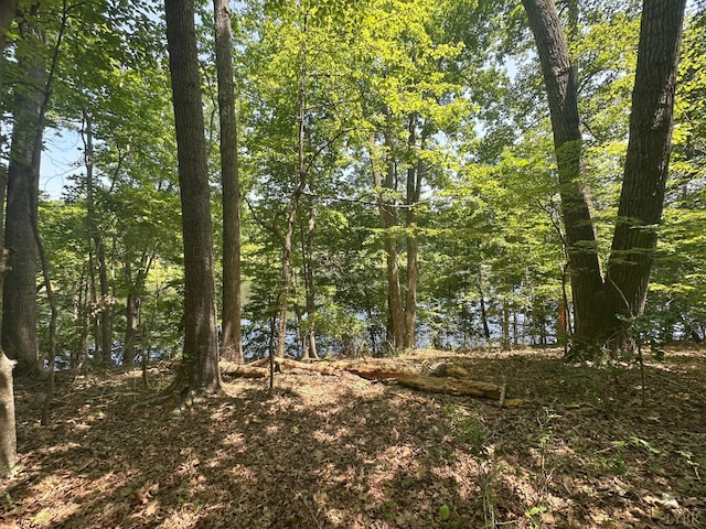 0 Silverbush, Bedford, VA 24523 - photo 2