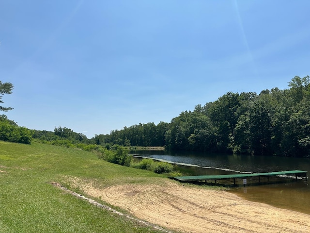 0 Silverbush, Bedford, VA 24523 - photo 10
