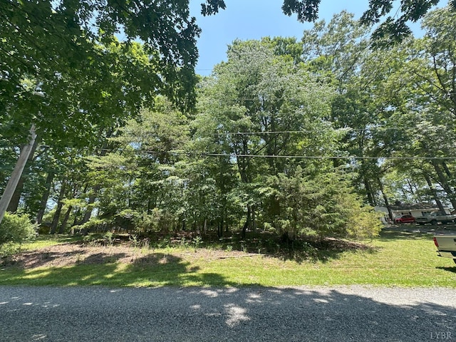 0 Silverbush, Bedford, VA 24523 - photo 4