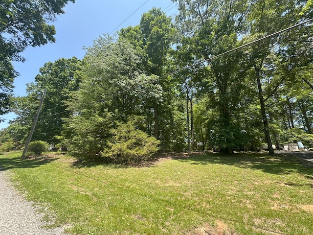 0 Silverbush, Bedford, VA 24523 - photo 5
