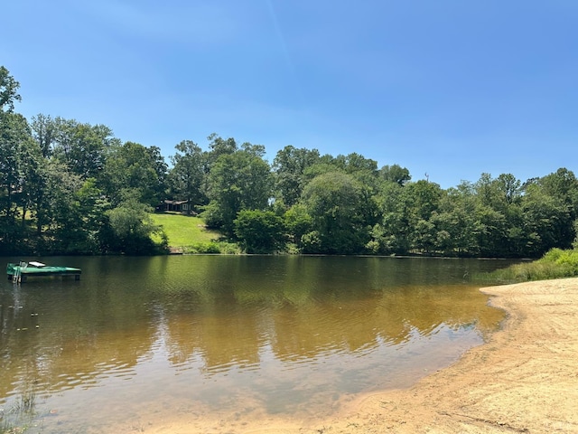 0 Silverbush, Bedford, VA 24523 - photo 11