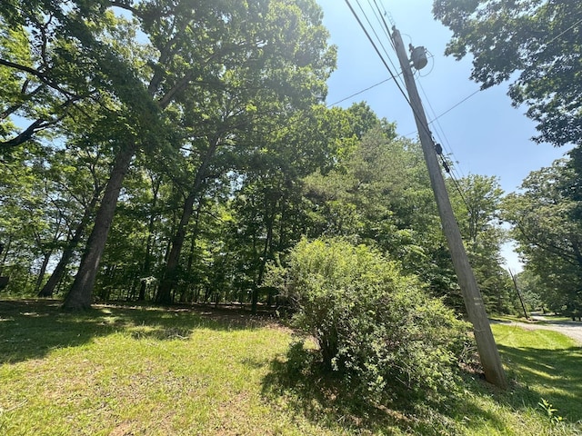 0 Silverbush, Bedford, VA 24523 - photo 7