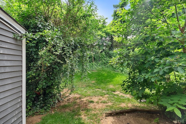 403 W Cadbury Dr, Lynchburg, VA 24502 - view of yard