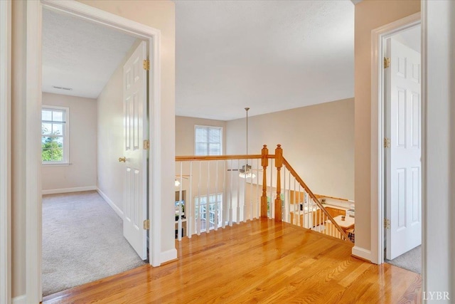 1061 Cedar Sky Ct, Forest, VA 24551 - hall featuring an upstairs landing, wood finished floors, baseboards, and carpet