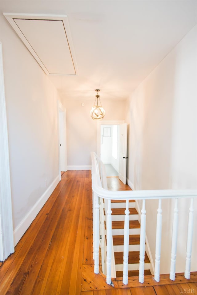321 Harrison St, Lynchburg, VA 24504 - photo 40