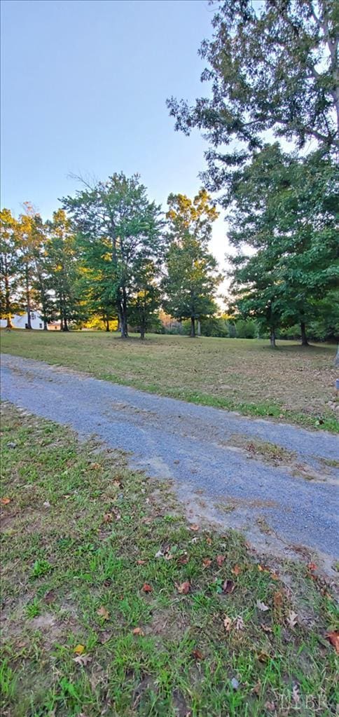 2995 Bear Creek Rd, Rustburg, VA 24588 - view of yard