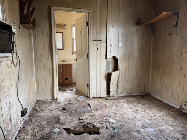 5698 Rockfish River Rd, Schuyler, VA 22969 - spare room featuring wood walls and a sink