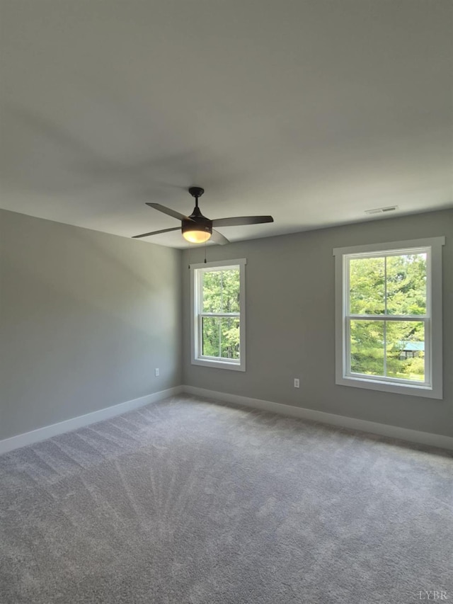 50 Pelt Ln, Evington, VA 24550 - photo 18