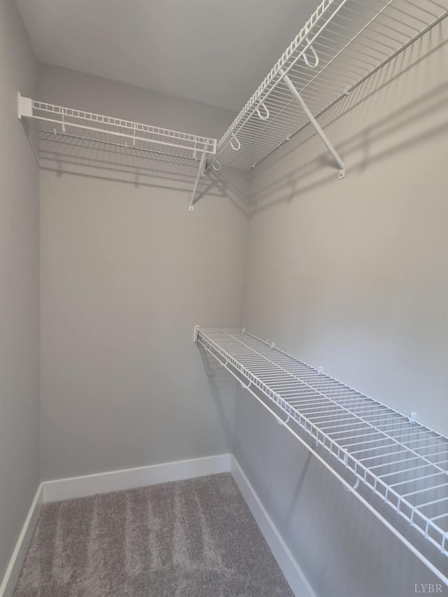 66 Pelt Ln, Evington, VA 24550 - walk in closet with carpet
