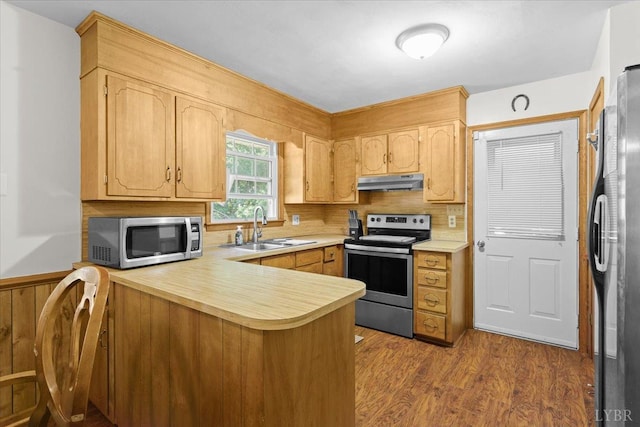 10567 Leesville Rd, Lynch Station, VA 24571 - kitchen featuring appliances with stainless steel finishes, under cabinet range hood, a peninsula, a sink, and light countertops