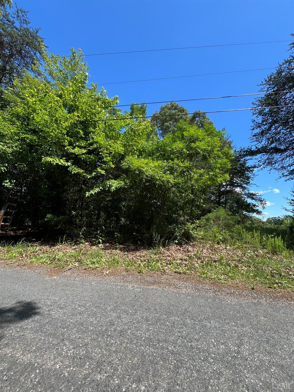 156 Bryant Rd, Madison Heights, VA 24572 - photo 1