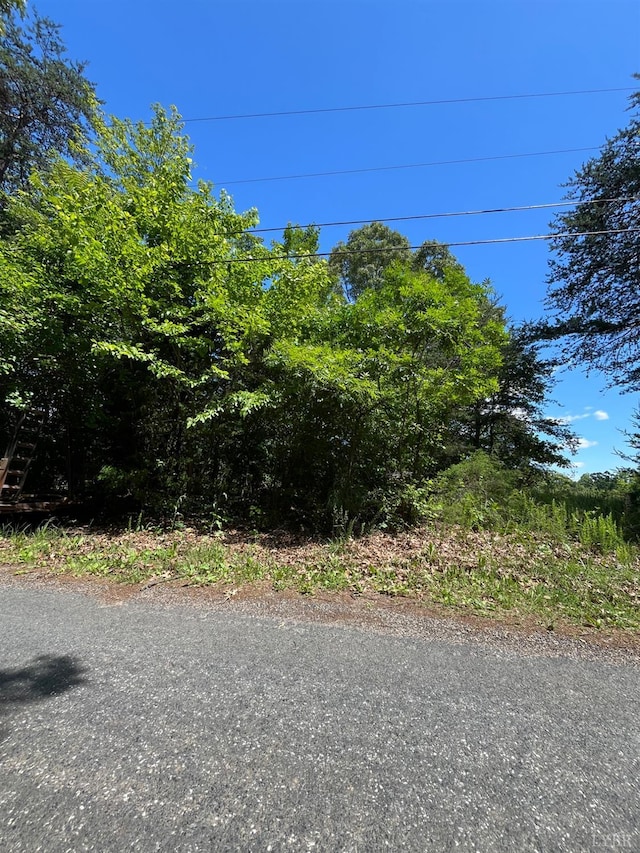 156 Bryant Rd, Madison Heights, VA 24572 - photo 1
