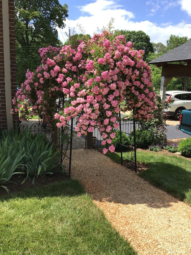 136 Timber Ridge Dr, Forest, VA 24551 - view of yard