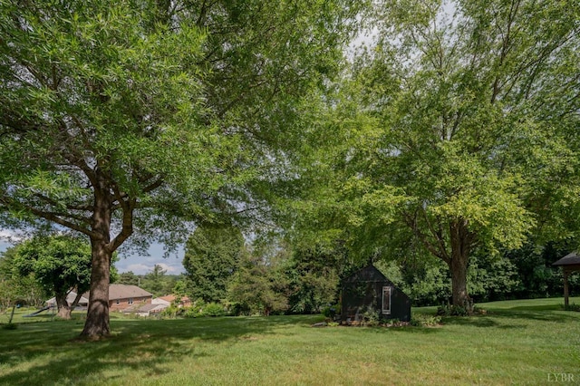 136 Timber Ridge Dr, Forest, VA 24551 - view of grassy yard featuring a storage shed