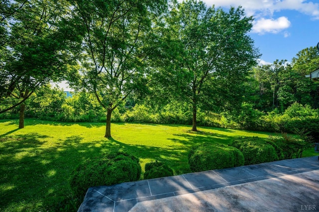 200 Middleboro Pl, Lynchburg, VA 24502 - view of green lawn