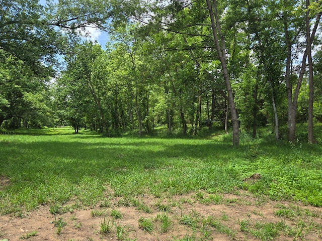 0 James River Rd, Wingina, VA 24599