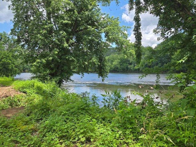 0 James River Rd, Wingina, VA 24599