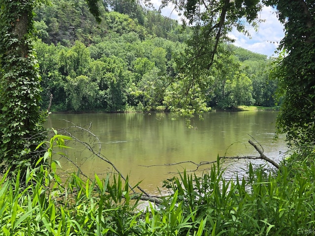 0 James River Rd, Wingina, VA 24599