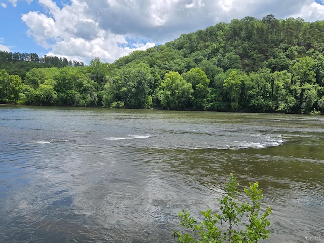 0 James River Rd, Wingina, VA 24599