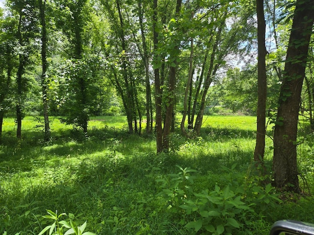 0 James River Rd, Wingina, VA 24599