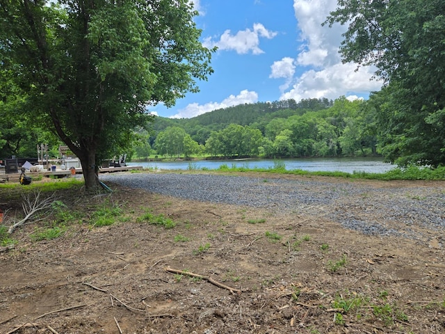 0 James River Rd, Wingina, VA 24599
