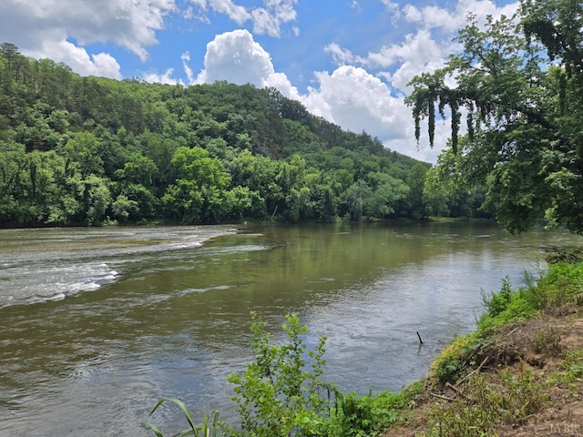 0 James River Rd, Wingina, VA 24599