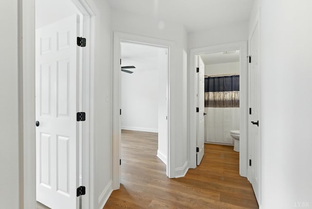 1036 Brownstone Dr, Forest, VA 24551 - corridor with wood finished floors and baseboards