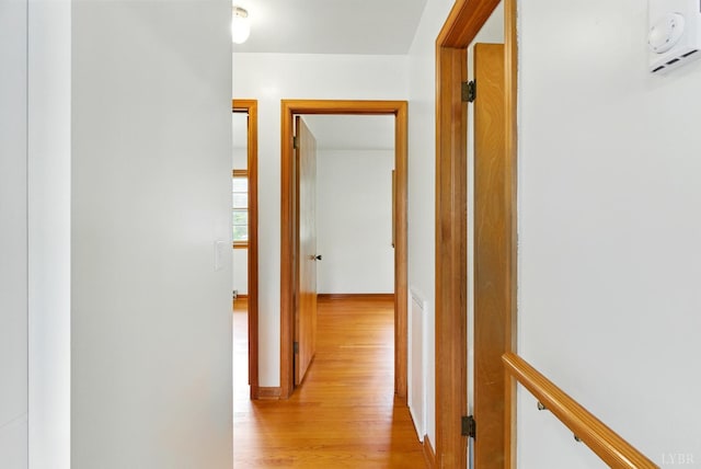 102 SE St, Brookneal, VA 24528 - hallway with light wood-style floors