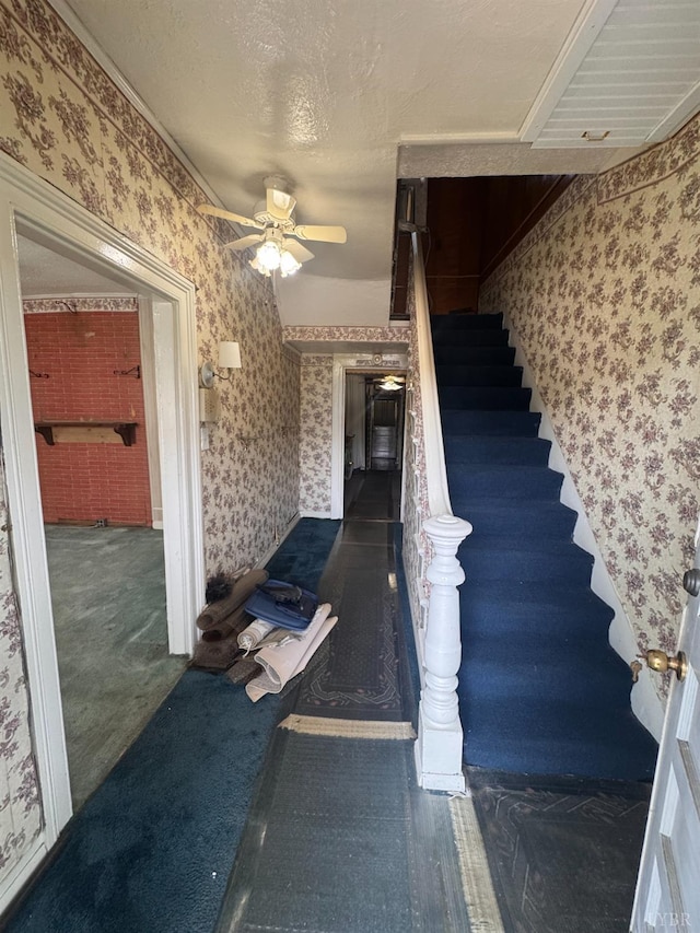 512 Polk St, Lynchburg, VA 24504 - stairway featuring wallpapered walls, ceiling fan, and carpet floors