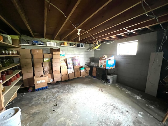 8288 Red House Rd, Phenix, VA 23959 - basement featuring concrete block wall
