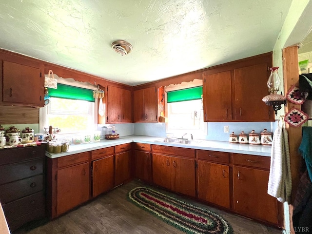 8288 Red House Rd, Phenix, VA 23959 - kitchen with light countertops, dark wood-style flooring, and brown cabinetry