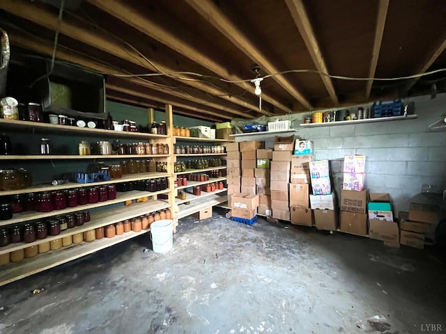 8288 Red House Rd, Phenix, VA 23959 - view of storage