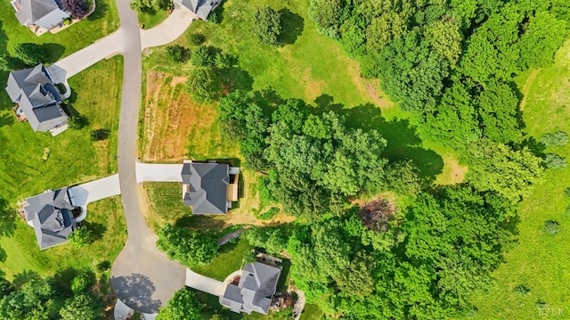 1290 Ivy Creek Dr, Forest, VA 24551 - aerial view