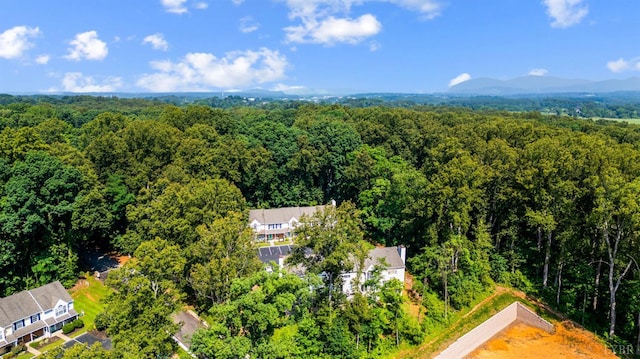 17 Jefferson Village Dr, Forest, VA 24551 - aerial view of a forest