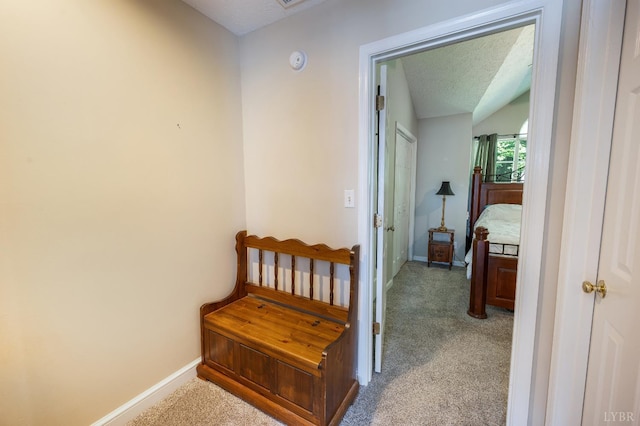 17 Jefferson Village Dr, Forest, VA 24551 - hall featuring light carpet and a textured ceiling