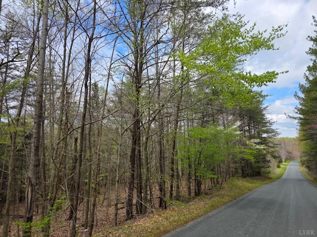 1239 Morris Creek Rd, Darlington Heights, VA 23934 - photo 4