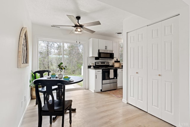 186 Dulwich Dr, Amherst, VA 24521 - kitchen featuring stainless steel appliances, a ceiling fan, plenty of natural light, and white cabinets