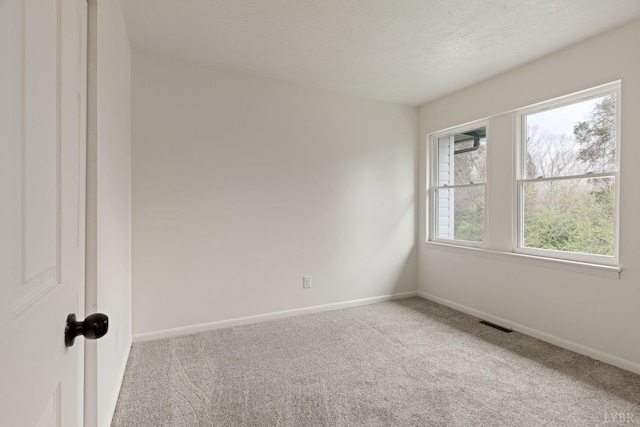 186 Dulwich Dr, Amherst, VA 24521 - unfurnished room with carpet floors and a textured ceiling