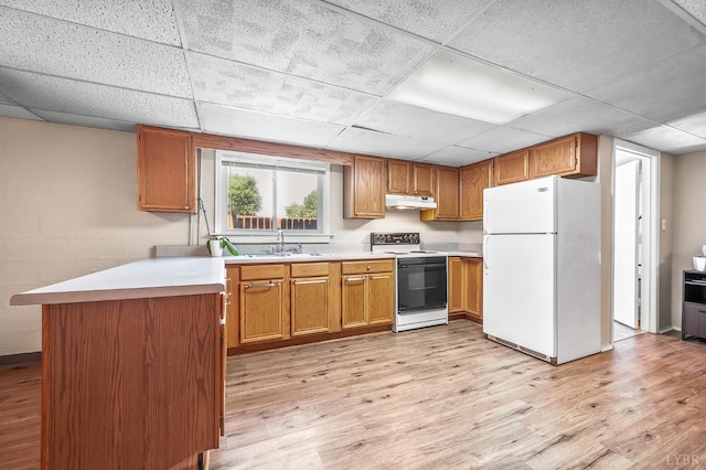 1246 Rainbow Forest Dr, Lynchburg, VA 24502 - kitchen featuring freestanding refrigerator, electric range, a drop ceiling, under cabinet range hood, and light wood-style flooring
