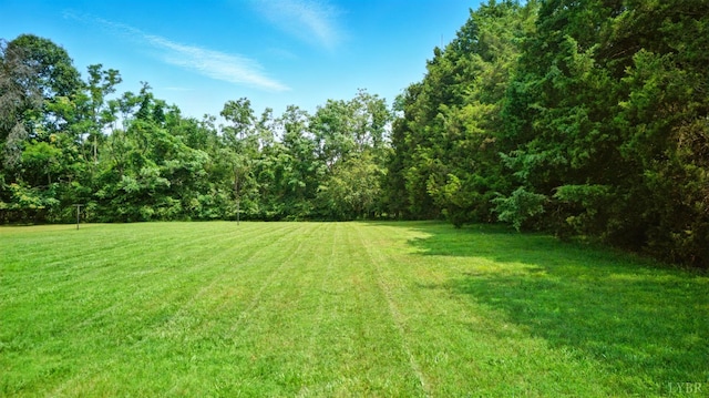 144 Hamlin Ave, Danville, VA 24540 - photo 33