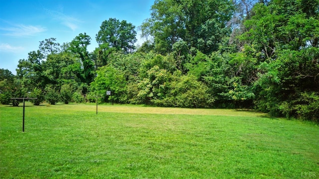 144 Hamlin Ave, Danville, VA 24540 - photo 35