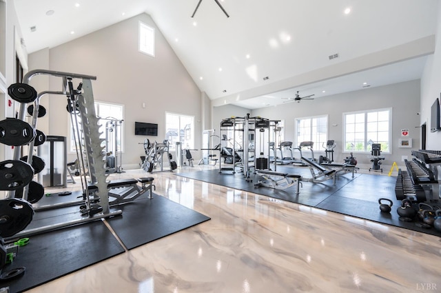 1010 Coles Ct, Forest, VA 24551 - gym with high vaulted ceiling, healthy amount of natural light, ceiling fan, and recessed lighting