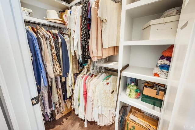 1010 Coles Ct, Forest, VA 24551 - walk in closet featuring wood finished floors