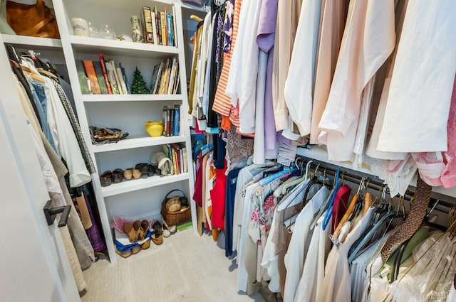 1010 Coles Ct, Forest, VA 24551 - walk in closet with carpet flooring