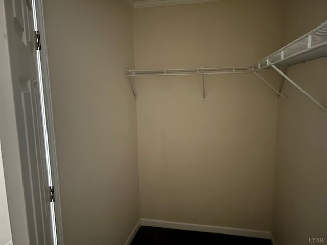 6925 Conifer Rd, North Chesterfield, VA 23237 - view of spacious closet