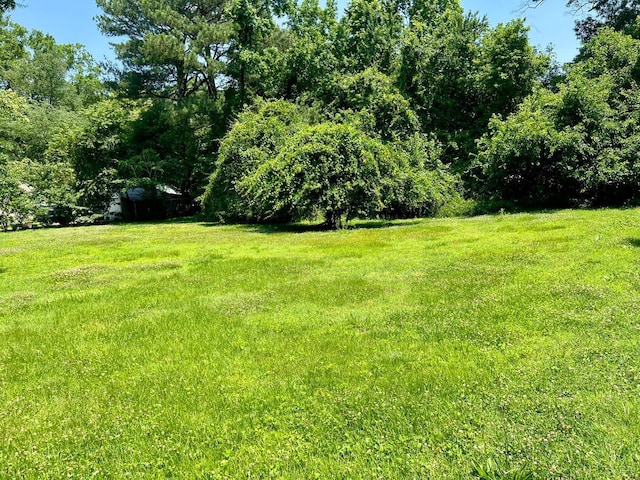 6925 Conifer Rd, North Chesterfield, VA 23237 - view of yard