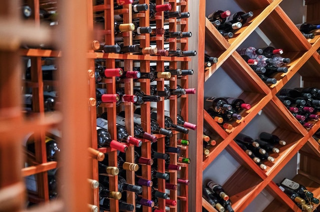 1424 Lake Manor Dr, Forest, VA 24551 - view of wine cellar