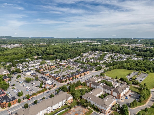 1313 Enterprise, Lynchburg, VA 24502 - aerial overview of property's location with nearby suburban area